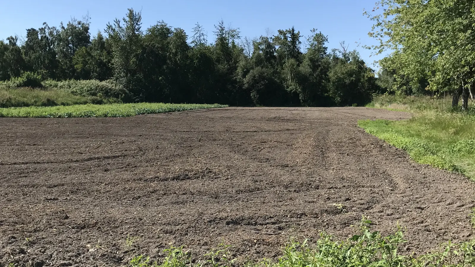 Land Capability Assessment: How BC Rates Farmland (and When You Need One)