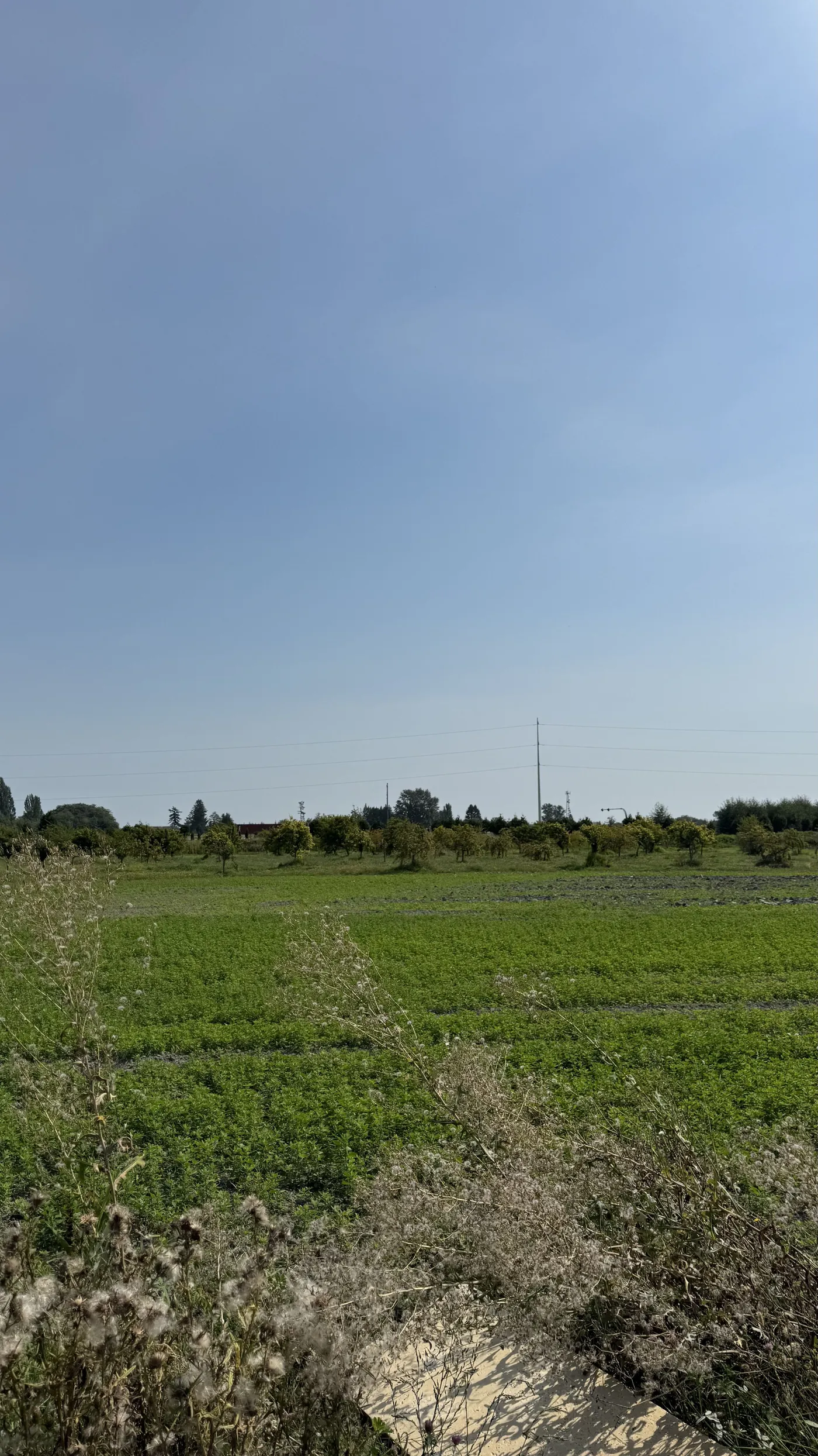 Farm Plans — Titrin AgriSoil Solutions