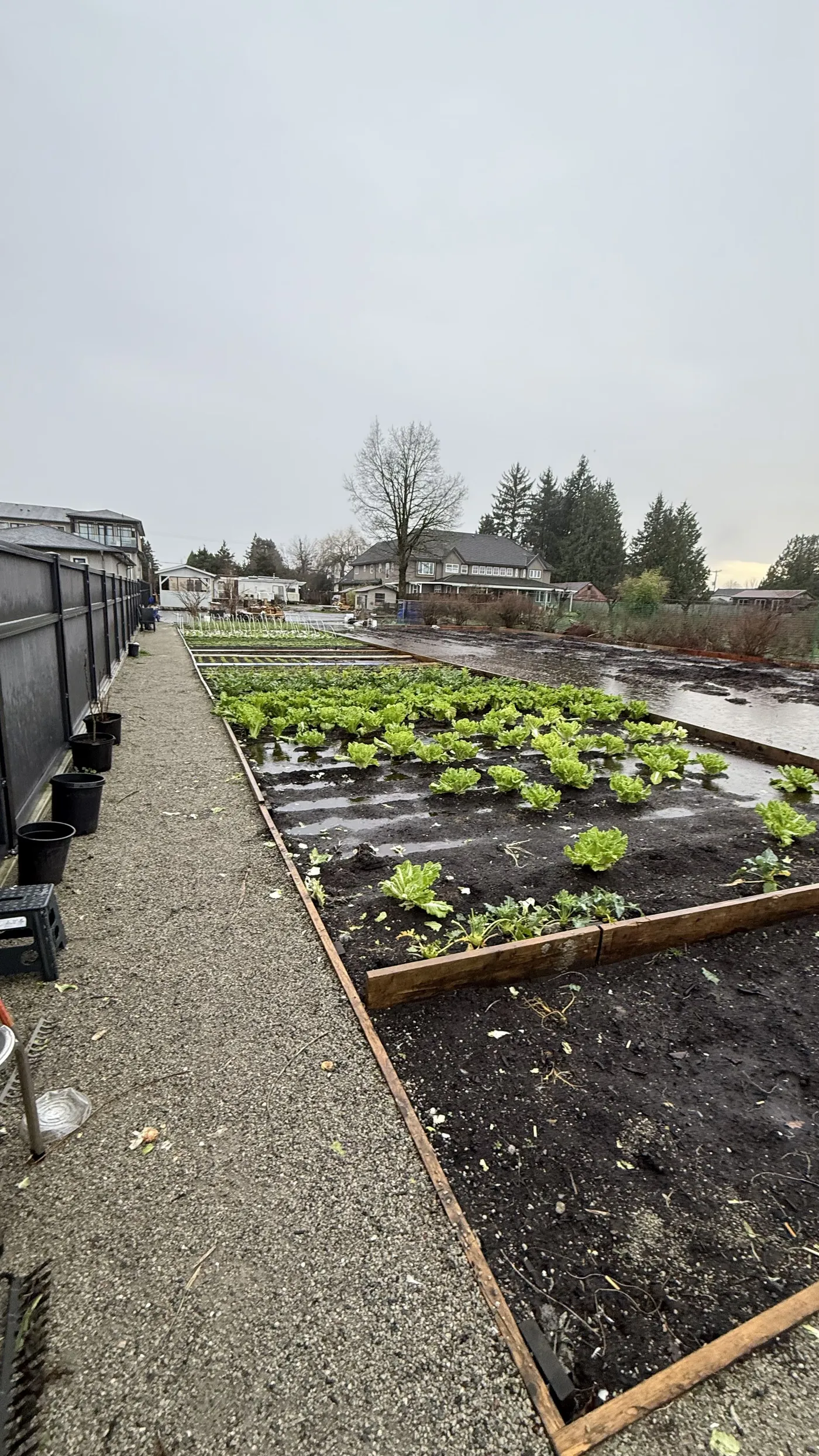 Environmental Management & Assessment — Titrin AgriSoil Solutions