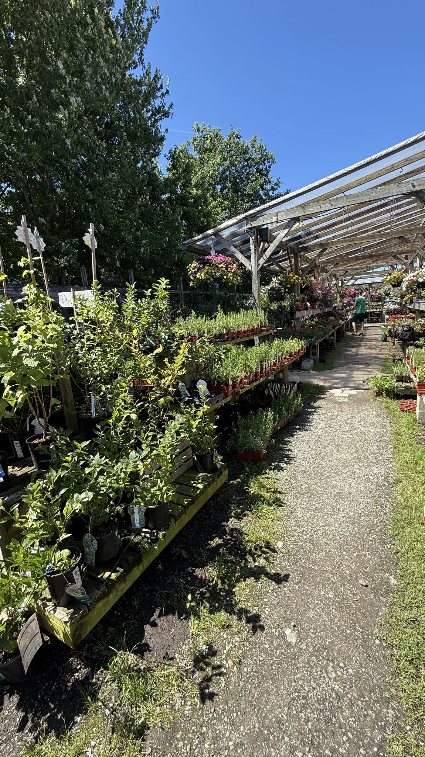 Project photo for Boutique Nursery & Cut-Flower Farm