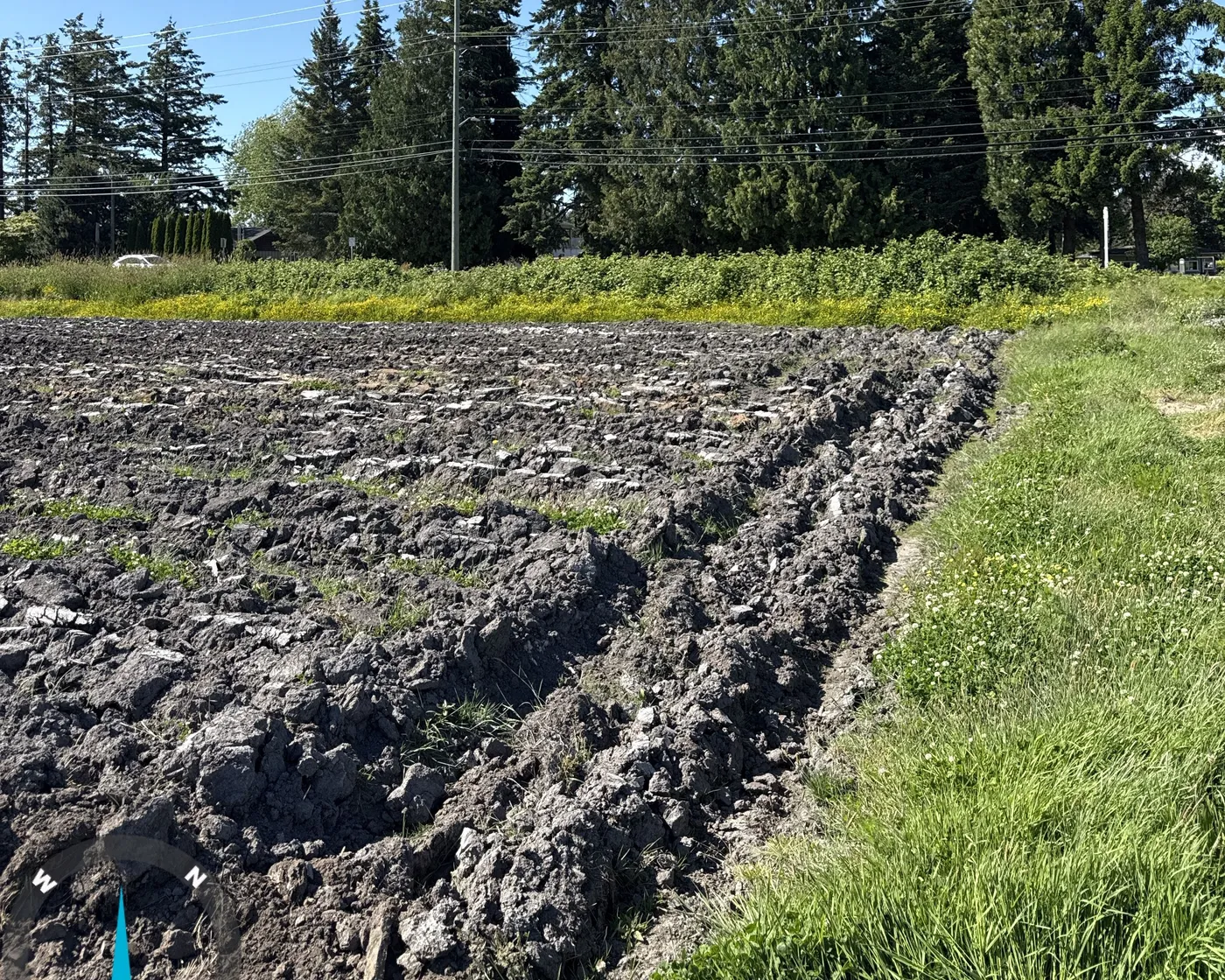 Colwood Creek Park project photo